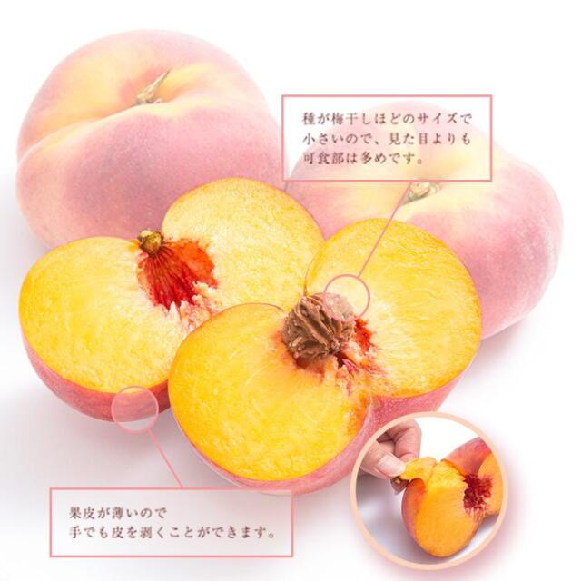①②2箱【大紅蟠桃】山梨県産　桃 期間限定商品】山梨県産 桃1.8kg(7～8個入) | 青果店 サン・フルーツ
