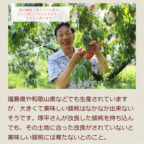 2025年度予約終了】信州産 塚平農園 蟠桃（1.5kg箱 約7～12個