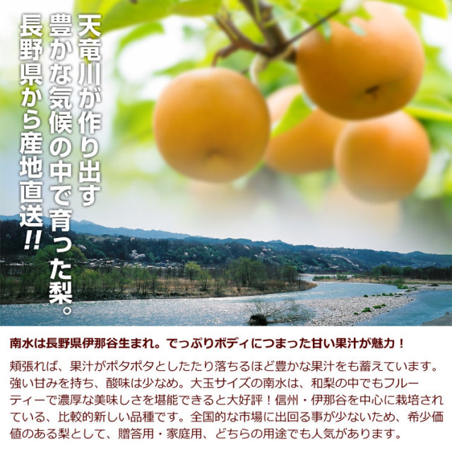 南水梨 5kg（10~16玉）｜あずさ屋