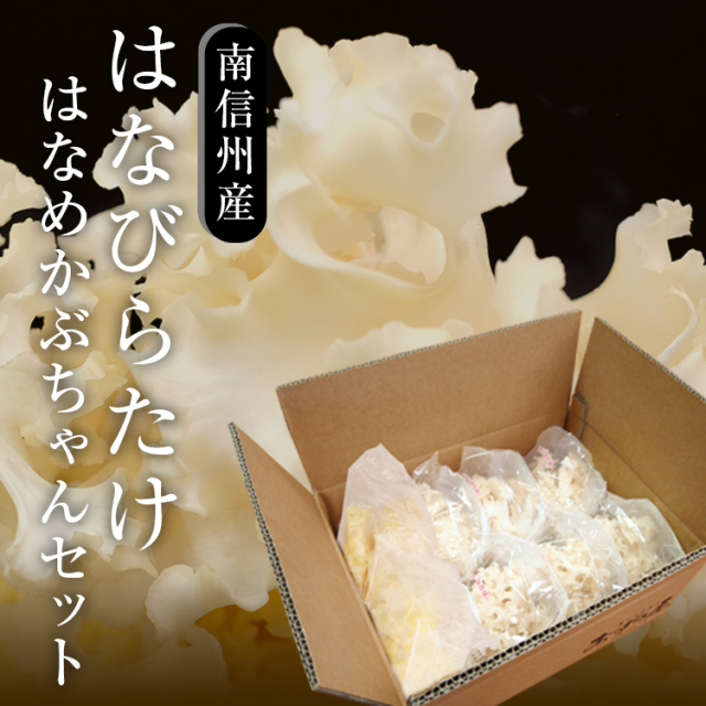 はなめかぶちゃんセット_01