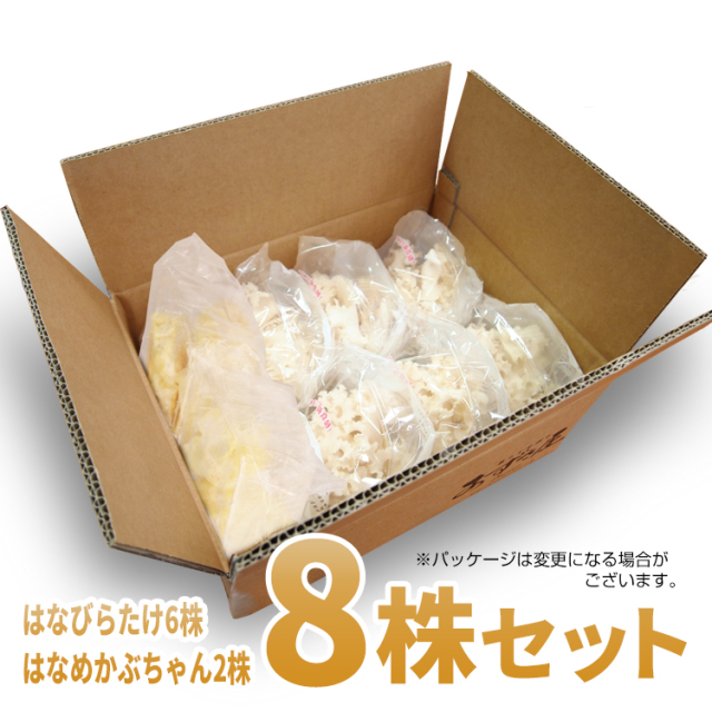 ハナビラタケ imgrc0064411842.jpg