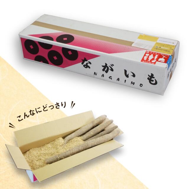 信州松代ながいも_02