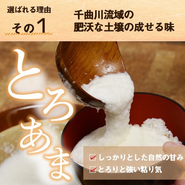 信州松代ながいも_04