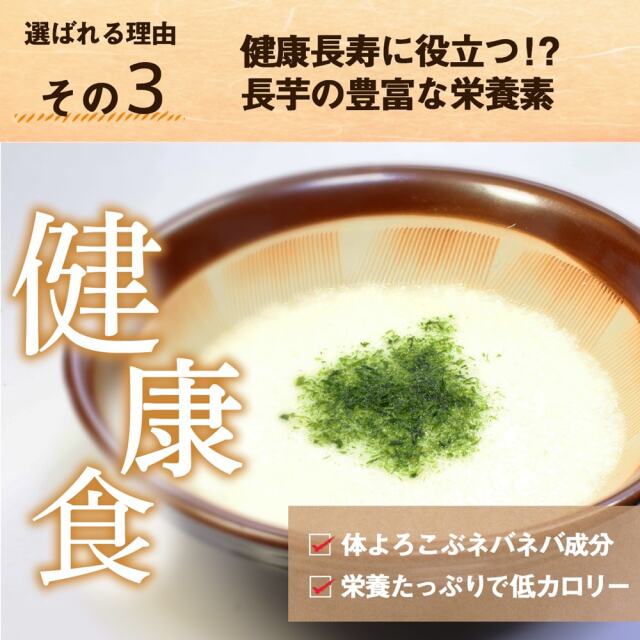 真田家のお膝元 信州松代のながいも(5Kg)｜あずさ屋