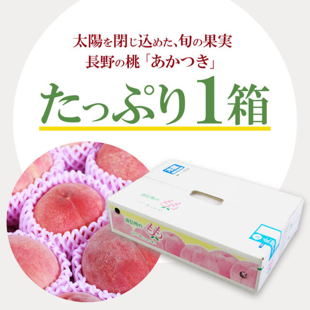 2025年度予約終了】信州 桃 あかつき 3kg 5kg / 7月上旬～発送