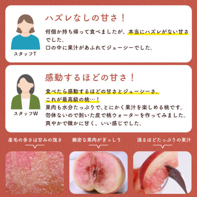 特大 摘果桃 若桃 あかつき 11kg 6月上旬 予約注文】加工用摘果若桃5kg 手作りの甘露煮やジャム