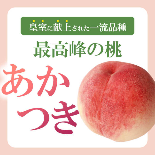 2025年度予約終了】信州 桃 あかつき 3kg 5kg / 7月上旬～発送