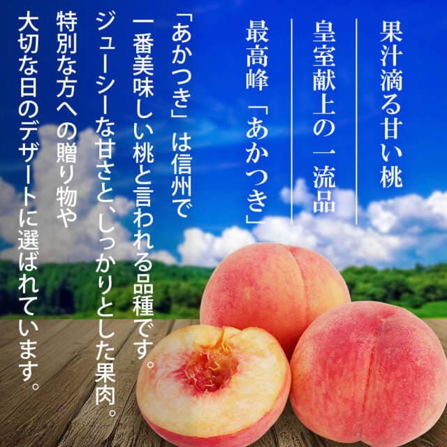 2026年度終了】信州 桃 あかつき 3kg 5kg / 7月上旬～発送 / 信州 桃