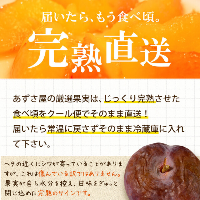 2026年度終了】信州産 貴陽 1.8kg（6～8個）/7月中旬～発送/最高級