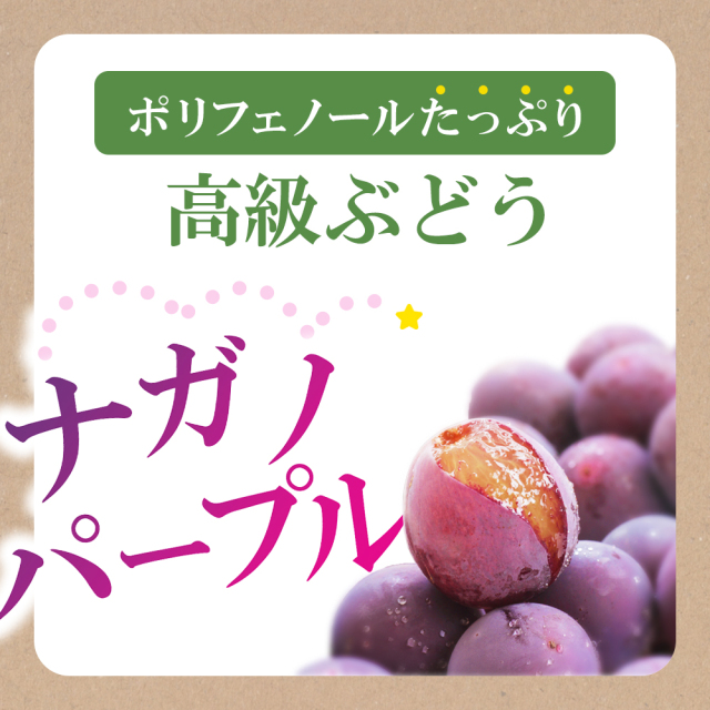信州産 ぶどう ナガノパープル Aランク 大房 2房 （計1.2kg程度）