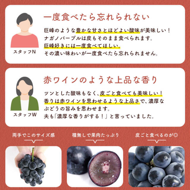 信州産 ぶどう ナガノパープル Aランク 大房 2房 （計1.2kg程度）