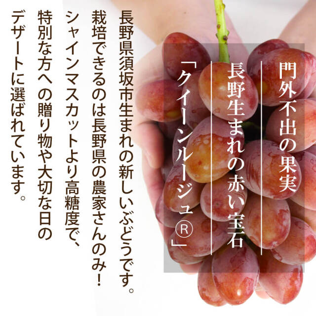 信州産 ぶどう クイーンルージュ Aランク 大房 1房 （550g程度）