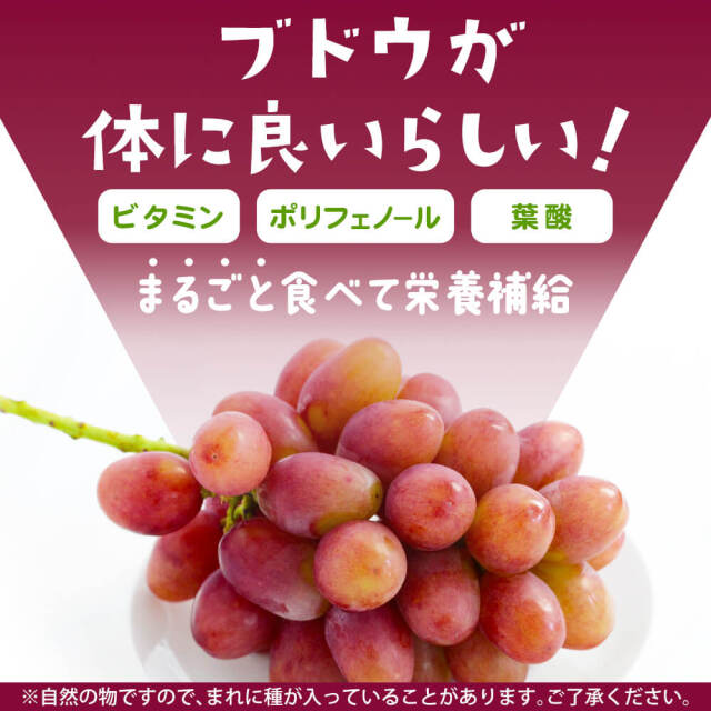 信州産 ぶどう クイーンルージュ Aランク 大房 1房 （550g程度）