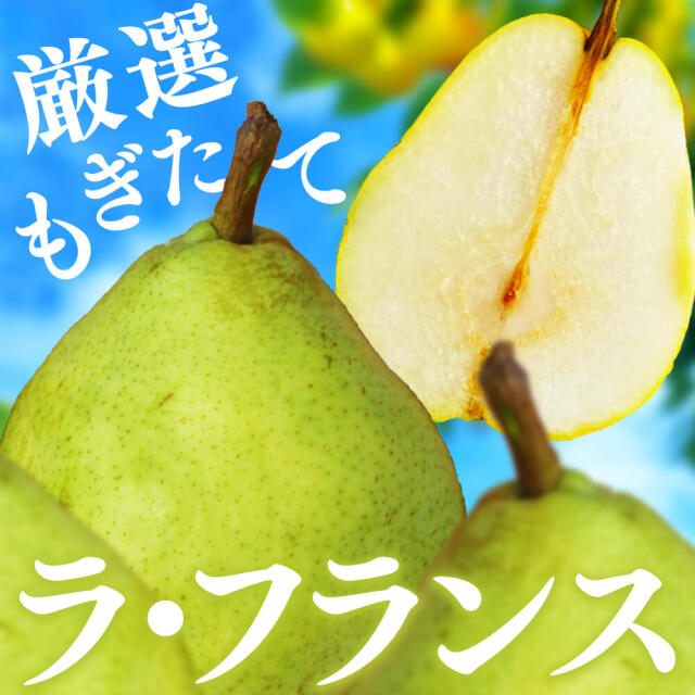 【2024年度予約終了】洋梨 ラ・フランス 信州産 5kg /10月中旬～発送//ラフランス 洋ナシ 洋なし 長野 贈答 ギフト