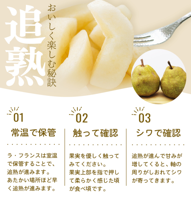 長野県洋梨5kg産地直送常温便 信州産 洋梨 ラ・フランス 5kg