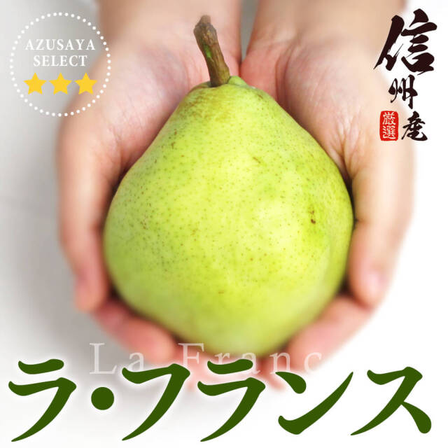 洋梨 ふるさと納税 大石田町 ラ・フランス 洋梨 約5kg 2025年産 令和7年産 果物