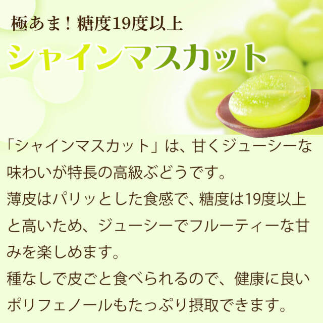 信州 ぶどう 贅沢 3種セット Aランク 大房