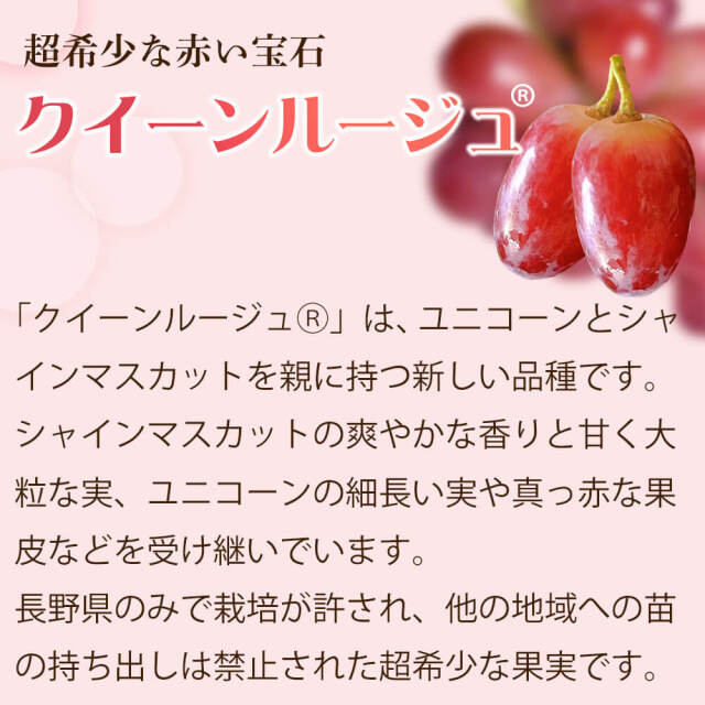 信州 ぶどう 贅沢 3種セット Aランク 大房