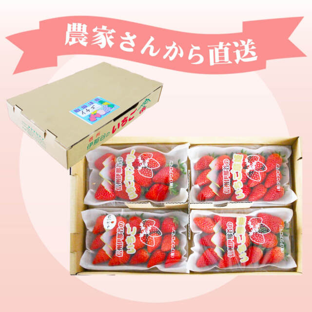 特選 旬摘み苺 4パック箱入り