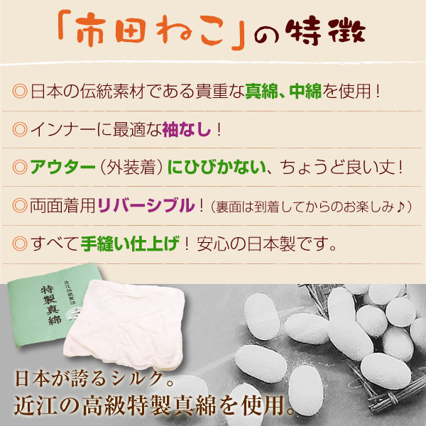 市田ねこ_02