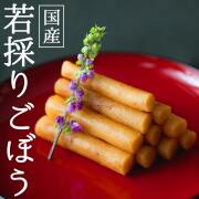 若採りごぼう_01