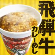 飛騨牛カレーめし 1個 レトルト インスタント ご飯 ビーフカレー