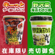 送料無料 訳あり カップ飯10個セット 野沢菜海苔わさび風めし 牛ーっとラー油にんにくめし レトルト インスタント ご当地 ご飯 セール お得 半額