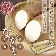 信州松代ながいも_01