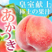 【2025年度予約終了】信州 桃 あかつき 3kg 5kg / 7月上旬～発送 / 信州 桃 長野 最高級 贈答
