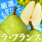 【2024年度予約終了】洋梨 ラ・フランス 信州産 5kg /10月中旬～発送//ラフランス 洋ナシ 洋なし 長野 贈答 ギフト