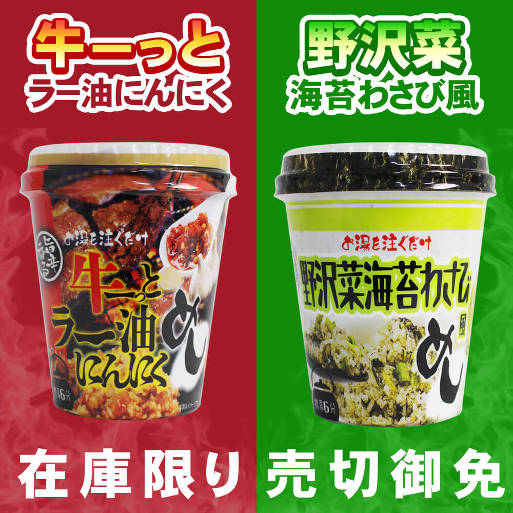 送料無料 訳あり カップ飯10個セット 野沢菜海苔わさび風めし 牛ーっとラー油にんにくめし レトルト インスタント ご当地 ご飯 セール お得 半額