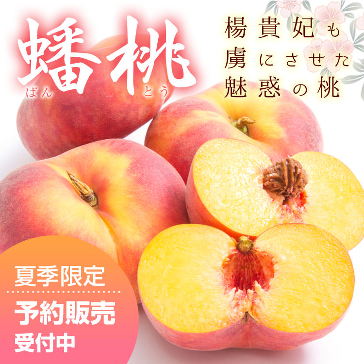 信州産 塚平農園 蟠桃（1.5kg箱 約7～12個入り）/8月初旬～発送/ばんとう 座禅桃 もも 【2026年度予約】//