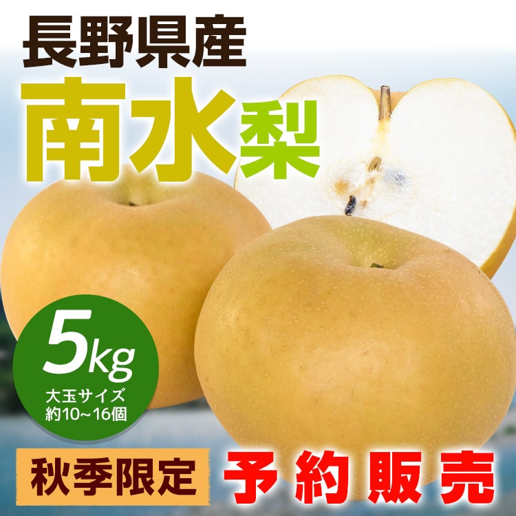 梨 長野県産 南水梨 大玉 5kg（10~16玉）糖度15度以上  / 9月下旬～発送 / 信州産 和梨 高級梨 贈答用 ギフト 産地直送 果物 フルーツ 【2026年度予約】