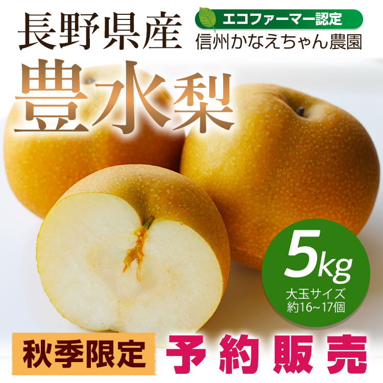 豊水梨5kg 長野からなしを産地直送 信州かなえちゃん農園 あずさ屋 豊水梨5kg 長野からなしを産地直送 信州かなえちゃん農園 あずさ屋