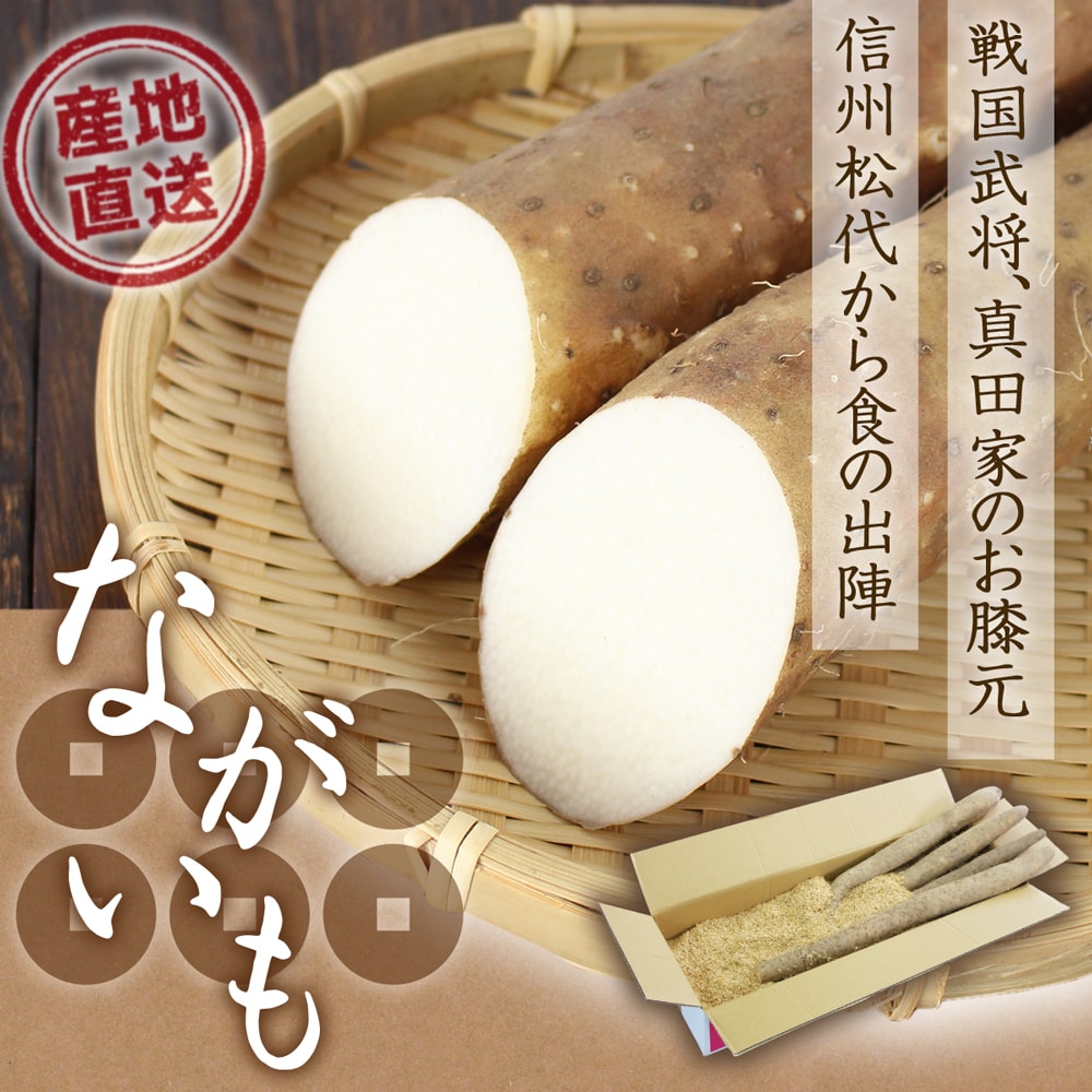 信州松代ながいも_01