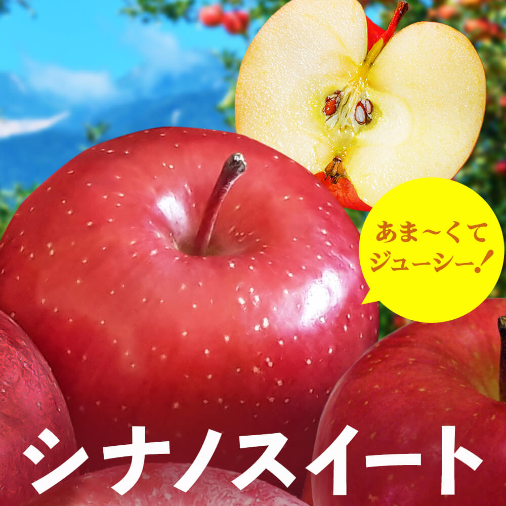 りんご シナノスイート 信州産 5kg (約16～20玉)  /10月上旬～発送// リンゴ 林檎 長野 ギフト 贈答【2026年度予約】
