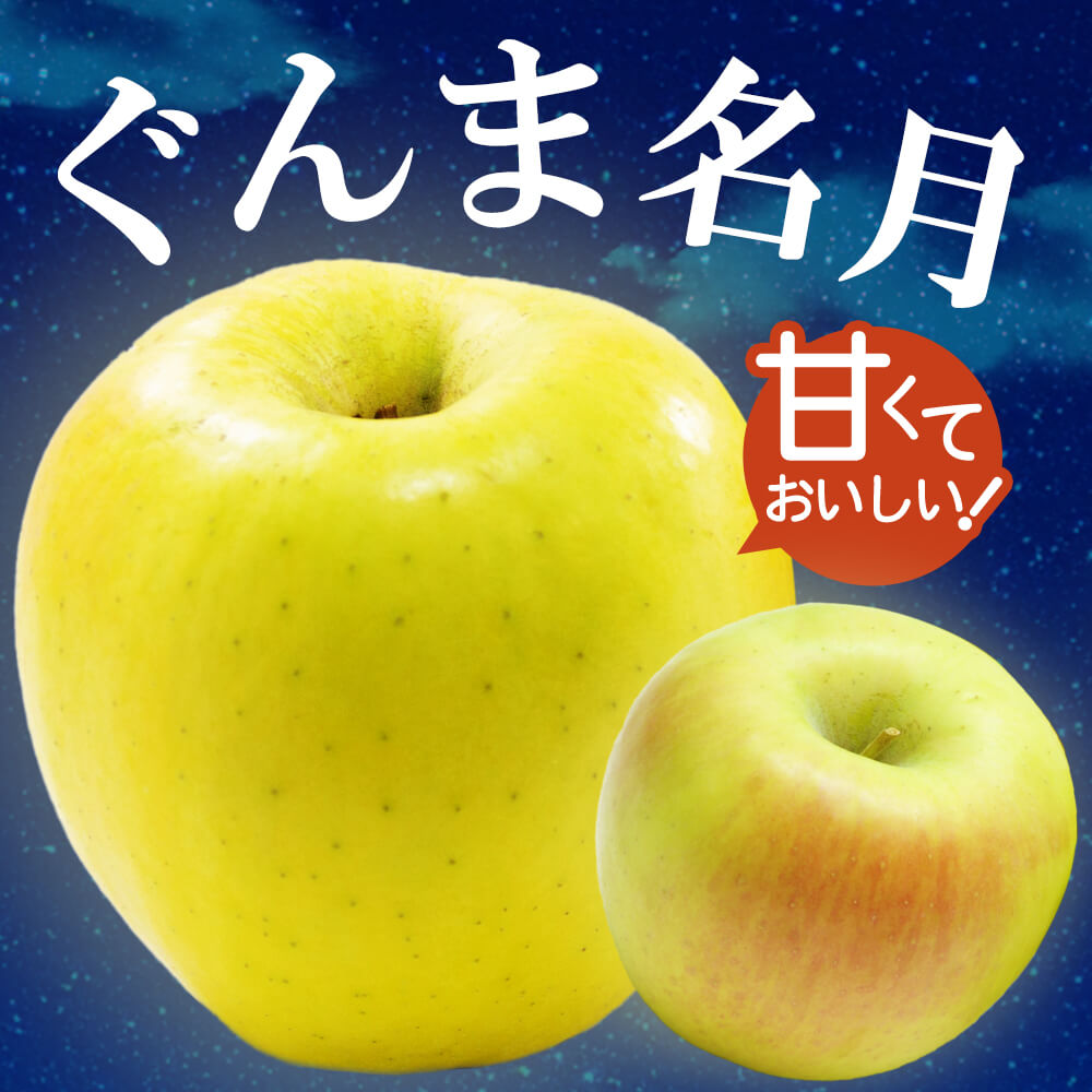 りんご ぐんま名月 信州産 5kg (約16～20玉) /11月上旬～発送// ギフト 贈答 高級 ぐんま 名月 名月りんご リンゴ 林檎 長野【2026年度予約】