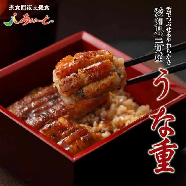 【冷凍介護食】摂食回復支援食あいーと 愛知県三河産 うな重 119g