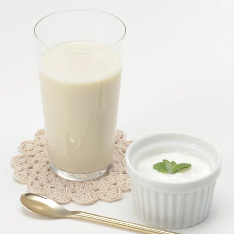 エンジョイクリミール ヨーグルト味　125ml×24本