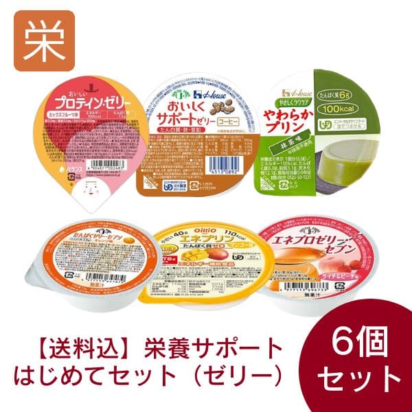 【送料込】栄養サポートゼリー 6種セット（6種類各1個）【高カロリーゼリー】