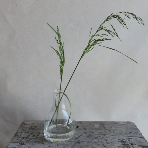 【リューズガラス】フラワーベース/クレーライン　ソラス