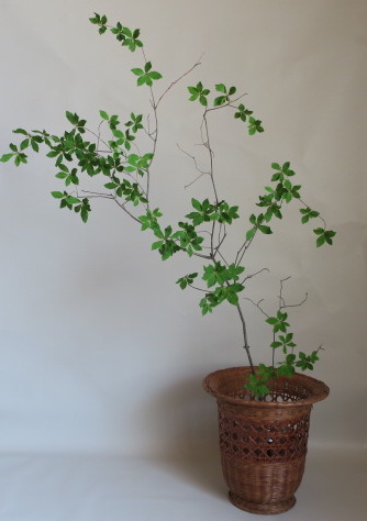 【Vintage/ヴィンテージ】竹製バスケット