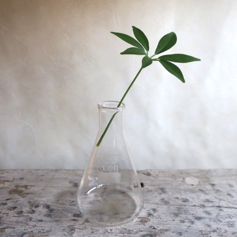 【Vintage/ヴィンテージ】三角フラスコ/フラワーベース　