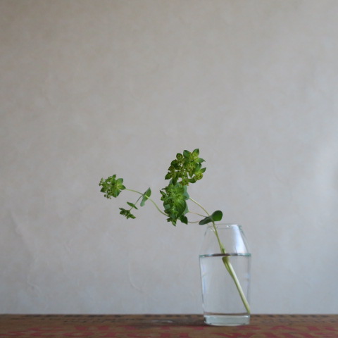 【リューズガラス】フラワーベース　/ チューブ