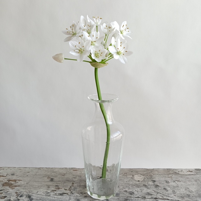 【リューズガラス】フラワーベース/ワイズライン フレーズ