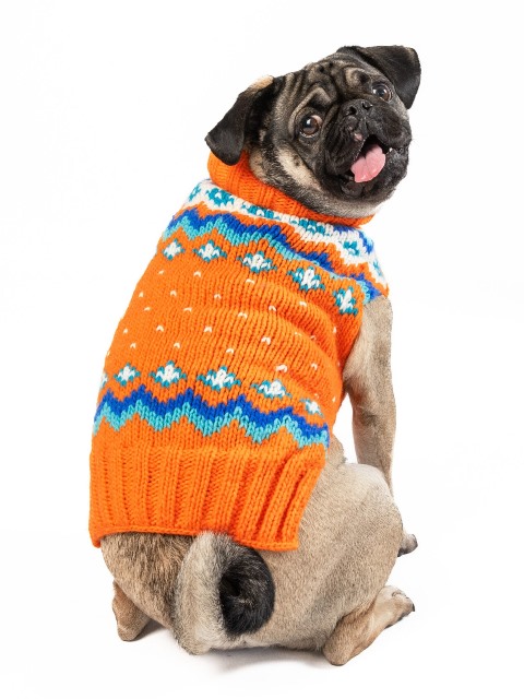 SALE] チリードッグ ウールセーターXS・S