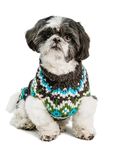 チリードッグ　ウールセーター