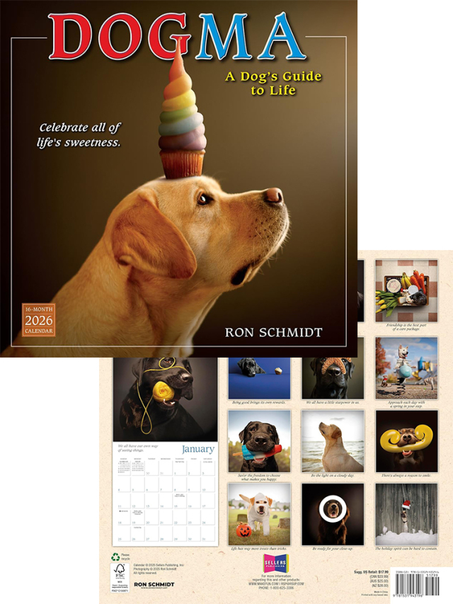 2026 DOGMA　ウォールカレンダー