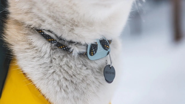 ラフウェア　ノットアカラー