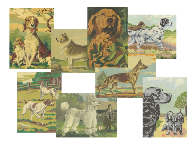 バーコロジー　ペイント・バイ・ナンバ－カードセット